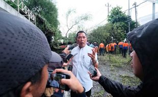 Belasan Pohon Ambruk, Teguh Prakosa Minta DLH Solo Data dan Rapikan Pohon