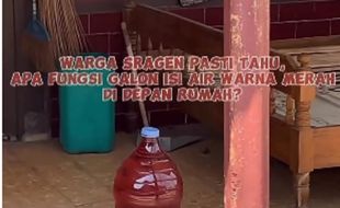 Viral di Sragen, Menguji Kebenaran Air Merah Bisa Mengusir Ayam atau Tidak