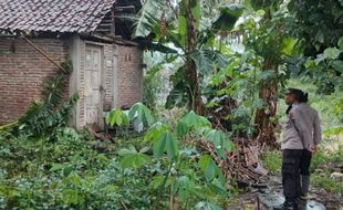 Rumah Warga Sidoharjo Sragen Ambrol Akibat Abrasi Bengawan Solo