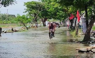 Hujan Semalaman, Genuk Semarang Tergenang Banjir