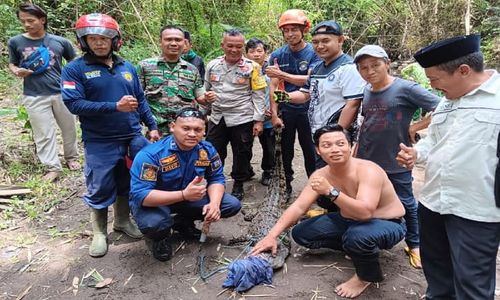 Geger, Buaya Sepanjang 2 Meter Ditangkap Warga di Kali Tepus Sleman