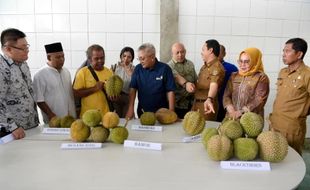 Kolaborasi KemenkopUKM-Apdurin Pacu Ekspor Durian Parigi Moutong