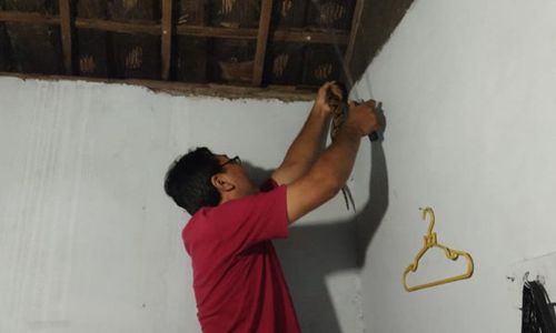 Bikin Geger, Sanca 2,5 Meter Masuk ke Permukiman Padat Jelang Tengah Malam