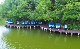 Agar Terdorong Rawat Lingkungan, Siswa SMP Muh PK Solo Tanam Bibit Mangrove