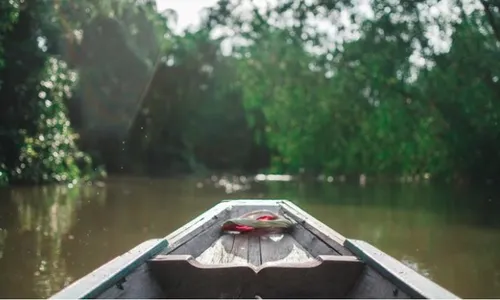 Mitos Makhluk Sulur Bidar Disebut Bisa Menggulung Korban di Sungai