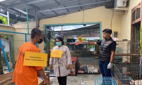 Reka Adegan! Ini Kronologi Pemuda Bunuh 2 Perempuan di Shelter Anjing Blitar