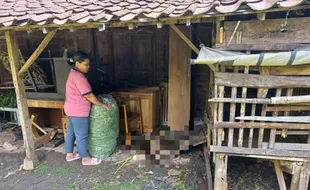 Kambing Milik Warga Trucuk Klaten Dicuri, Disembelih Dulu lalu Dibawa Kabur