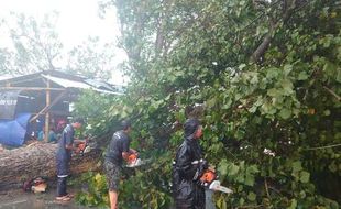 Hujan Deras-Angin Kencang, Ngemplak Boyolali Dilanda Banjir dan Pohon Tumbang