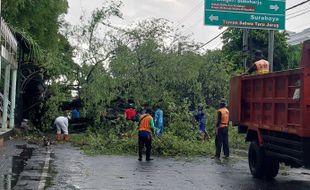 Terganggu Pohon Tumbang di Solo, Perjalanan KA Batara Kresna Terlambat 81 Menit