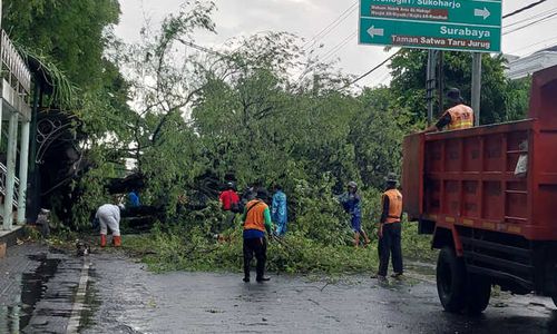 Terganggu Pohon Tumbang di Solo, Perjalanan KA Batara Kresna Terlambat 81 Menit