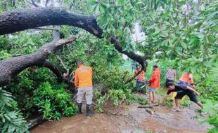 Diterjang Hujan Deras & Angin Kencang, 10 Rumah di Bae Kudus Rusak