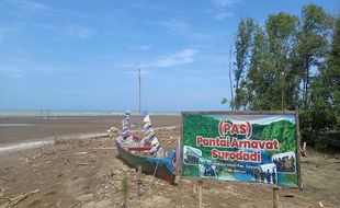 Ini Penjelasan Pakar Oseanografi Munculnya Pulau Baru di Sayung Demak