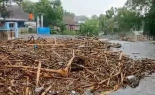 Hujan Deras, Sungai di Pengging Boyolali Dapat Kiriman Sampah Kayu Menggunung