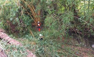 Waspada! 3 Alur Sungai di Klaten Ini Rawan Meluap dan Sebabkan Banjir