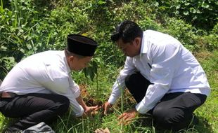 Dilantik, 22.400 Anggota KPPS Karanganyar Serentak Tanam Pohon di Lahan Kritis