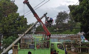 Hujan Deras, Tiang Listrik Menuju Bandungan Ambruk, Akses Jalan Sempat Ditutup