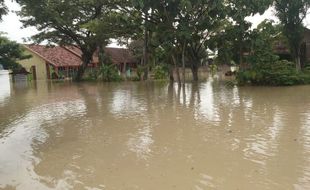 Ribuan Hektare Lahan di Demak Terendam Banjir, Dispertan: Kami Siap Kawal