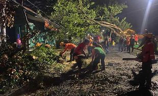 Hujan Deras Disertai Angin Kencang dan Petir Landa Solo, Sejumlah Pohon Tumbang