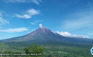 Gunung Semeru Erupsi Lagi pada Selasa Sore, Ketinggian Letusan Capi 1 Kilometer