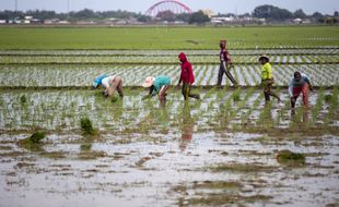 Moeldoko Usulkan RI Jadi Pusat Pelatihan Petani Muda Asia Pasifik