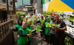 Berkat Program BRInita, Kelompok PKK di Jaksel Sukses Budidaya Hidroponik