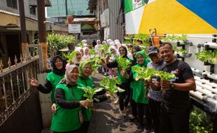 Berkat Program BRInita, Kelompok PKK di Jaksel Sukses Budidaya Hidroponik