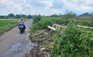 Limbah Soun Penuhi Saluran Irigasi, Bikin Jengkel Warga Daleman Tulung Klaten