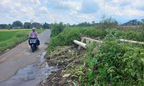 Limbah Soun Penuhi Saluran Irigasi, Bikin Jengkel Warga Daleman Tulung Klaten