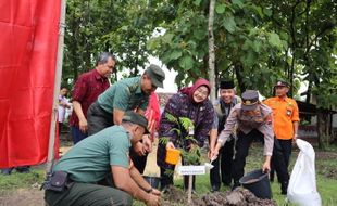 Sehari, Bupati Sragen Bagikan Ribuan Bibit Pohon Petai di 7 Kecamatan