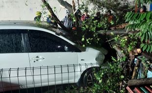 Hujan Disertai Angin Kencang, Satu Mobil Rusak Tertimpa Pohon di Solo