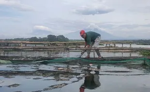 Upwelling Mereda, Disnakkan Boyolali Lanjut Monitor Kualitas Air Waduk Cengklik