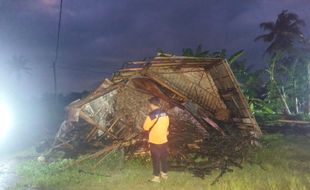 4 Rumah di Sejumlah Desa di Jember Tertimpa Pohon Tumbang