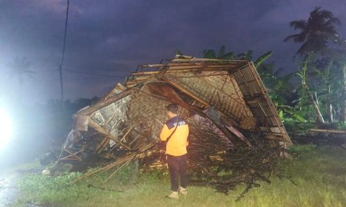 4 Rumah di Sejumlah Desa di Jember Tertimpa Pohon Tumbang