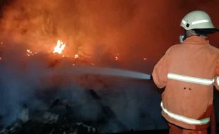 Rumah Warga Sumberejo Sragen Ludes Terbakar, 1 Ekor Sapi Selamat