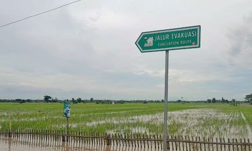 Pemkab Ngawi Catat 20 Hektare Sawah Terdampak Banjir Ajukan Klaim Asuransi