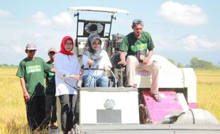 Panen Melimpah, Bupati Sri Mulyani Ungkap Klaten Surplus 63.085 Ton Beras