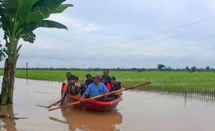 1.393 Ha Sawah di Ngawi Terancam Puso karena Banjir, Petani Bisa Klaim Asuransi