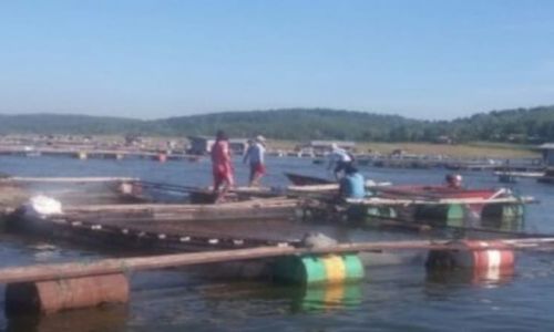 Tak seperti Waduk Cengklik, WKO Kemusu Boyolali Aman dari Fenomena Upwelling