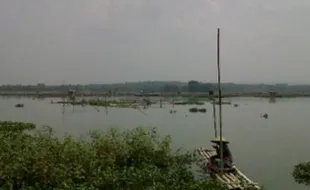 31 Ton Ikan di Waduk Cengklik Boyolali Mati Mendadak, Petani Rugi Rp1 Miliar