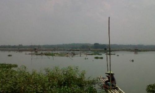 31 Ton Ikan di Waduk Cengklik Boyolali Mati Mendadak, Petani Rugi Rp1 Miliar