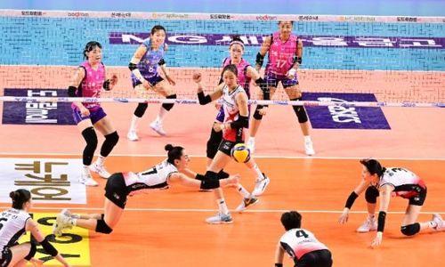 Kalah Play Off Kontra Pink Spiders, Red Sparks Gagal ke Final Liga Voli Korea