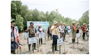 PLN Tanam Ribuan Mangrove Guna Rehabilitasi Pesisir Tanah Merah & Menipo di NTT