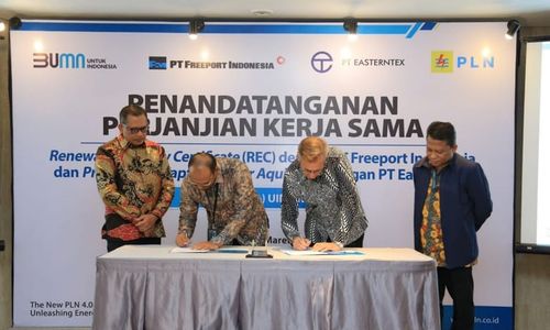 Gunakan REC PLN, Katoda Tembaga Freeport Jadi Produk Hijau Berdaya Saing Tinggi