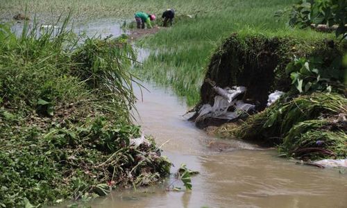 Gara-gara Lubang Tikus, Tanggul Sungai di Perbatasan Klaten-Gunungkidul Jebol