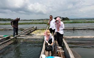 Disnakkan Boyolali Cek Mutu Air Waduk Cengklik Pasca-Upwelling, Ini Hasilnya