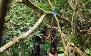 Puluhan Satwa Dilindungi Dilepas di Pulau Terluar Jember