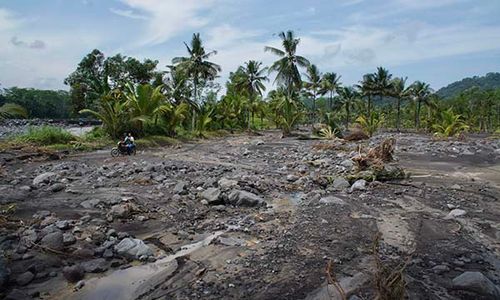 Puluhan Hektare Lahan Pertanian di Lumajang Rusak Diterjang Banjir Lahar Semeru