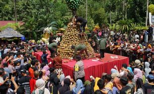 Festival Durian Internasional di Trenggalek, Ribuan Orang Berebut Durian Gratis