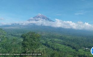 Gunung Semeru Alami Erupsi Tiga Kali pada Hari Ini, Letusan Capai 600 Meter