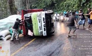 Truk Pengangkut Gabah Terguling di Jalanan Jember Akibat Jalan Rusak